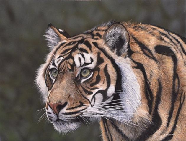 Tiger Animal Gouache Painting