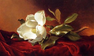 martin-johnson-heade-magnolia